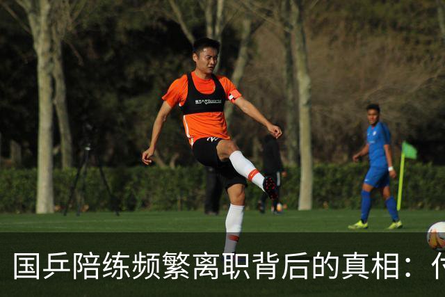 国乒陪练频繁离职背后的真相：付出与回报不成正比